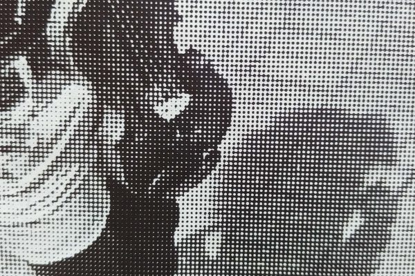 trame serigraphie photographie